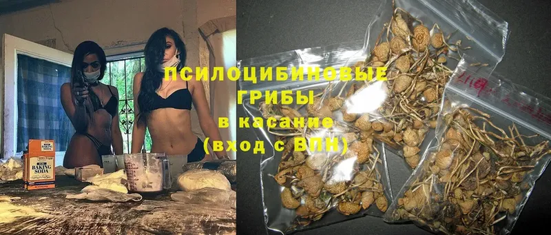 Где найти наркотики Железногорск-Илимский Cocaine  Бошки Шишки  Мефедрон  Alpha PVP  АМФЕТАМИН  Гашиш 